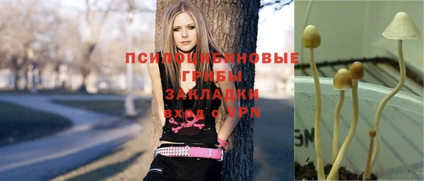 дурь Алексеевка