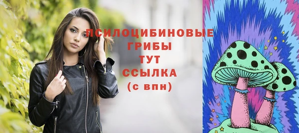 дурь Алексеевка
